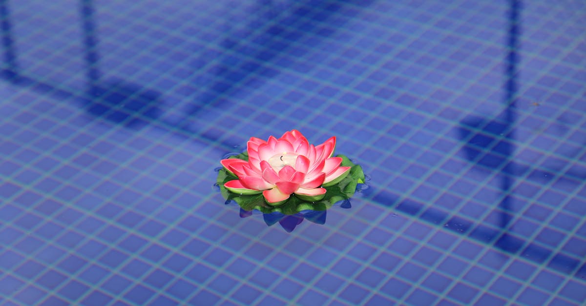 Best Practices for Timely Electrical Repairs in Adelaide Commercial Buildings