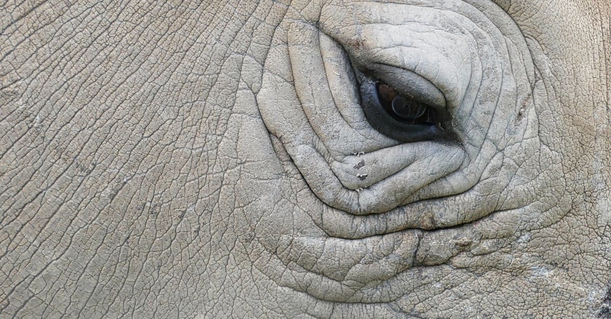 Common Workplace Hazards in Electrical Installations and How to Mitigate Them