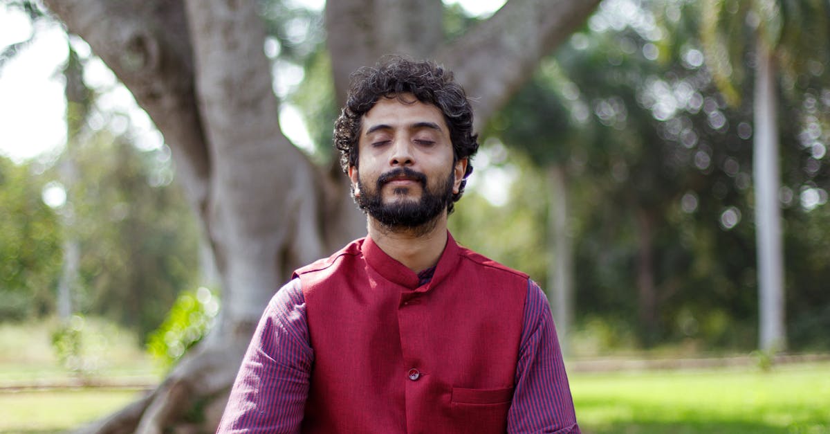 Exploring Government Incentives for Energy Efficiency Upgrades