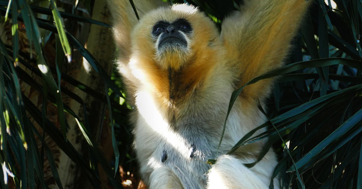 How to Choose the Right Commercial Electrician for Maintenance Services