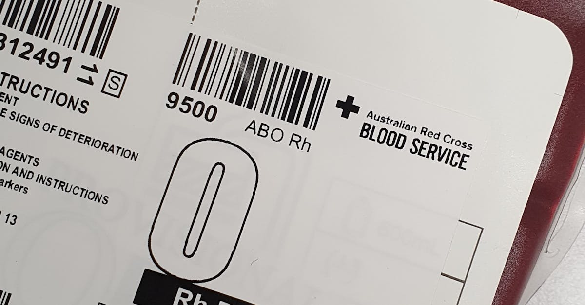 Navigating the Regulatory Landscape for Electrical Licensing in South Australia
