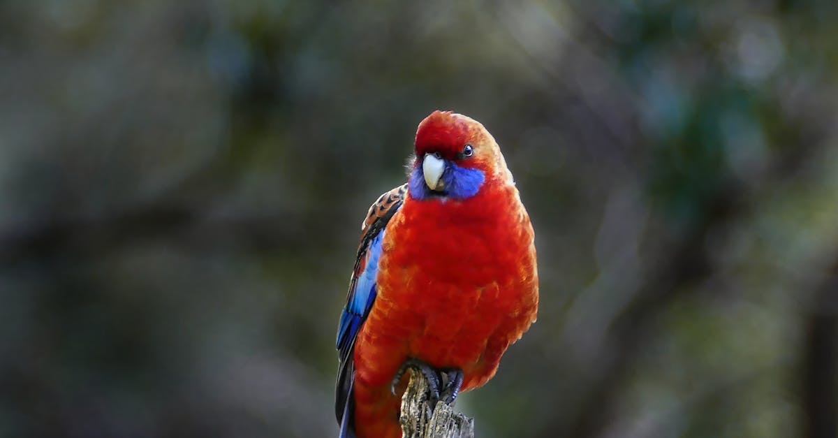 The Role of Technology in Improving Electrical Safety Compliance